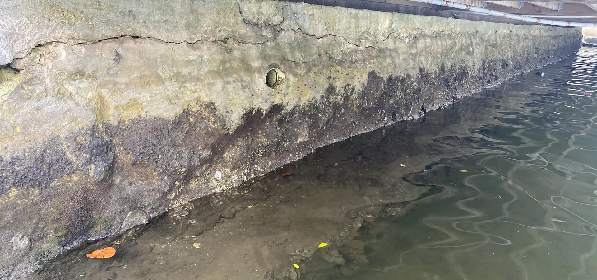 A weathered concrete seawall with cracks, algae staining, and a drainage hole.