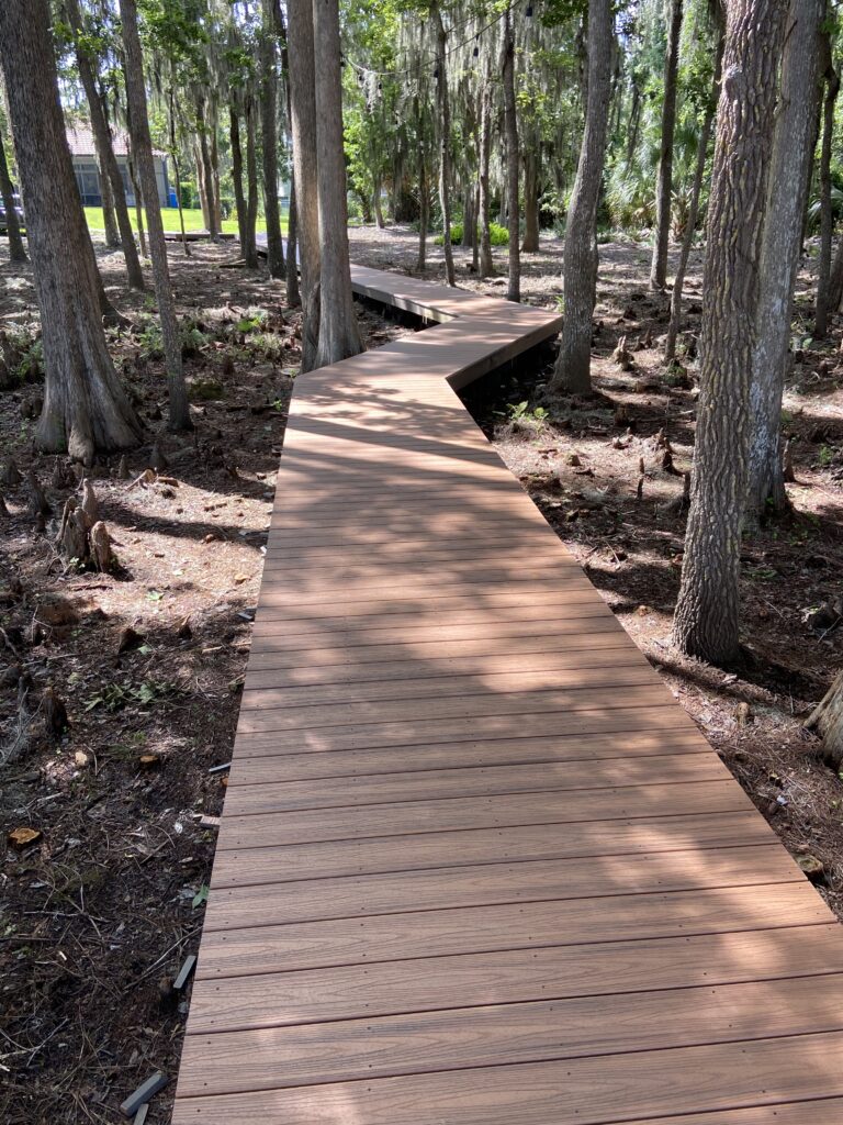 Brown wooden pathway winding through a forested area with tree roots visible.